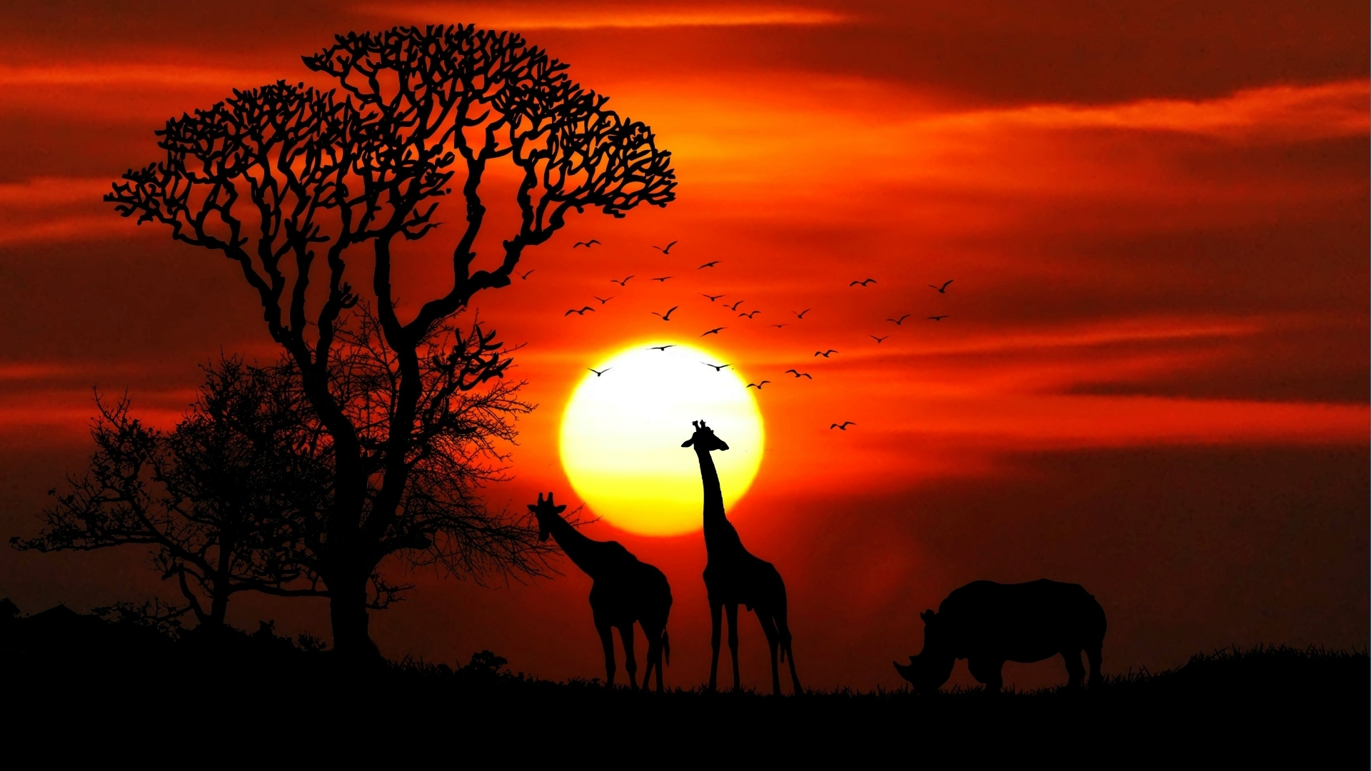 Safari silhouettes at sunset